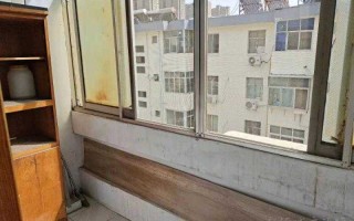 隐形眼镜月抛六片怎么用，隐形眼镜日抛月抛年抛是什么意思